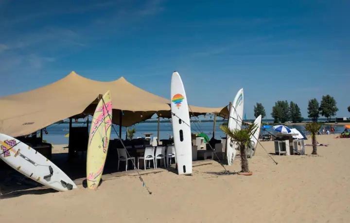 Traum Ferienhaus Mit Dachterrasse Am Veluwemeer Hulshorst Zewnętrze zdjęcie